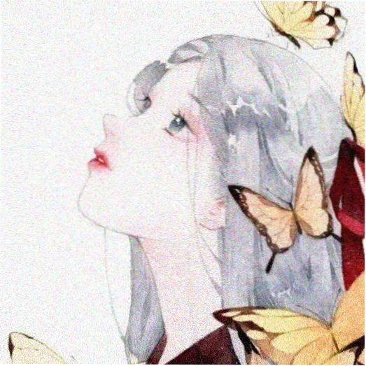 观众阿灿头像